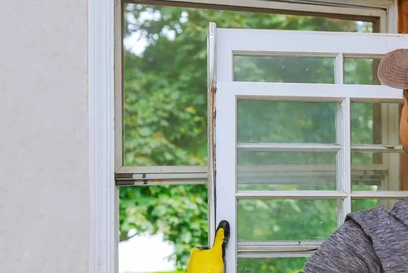Signs you need to replace windows shown by a worker removing a damaged white window frame.